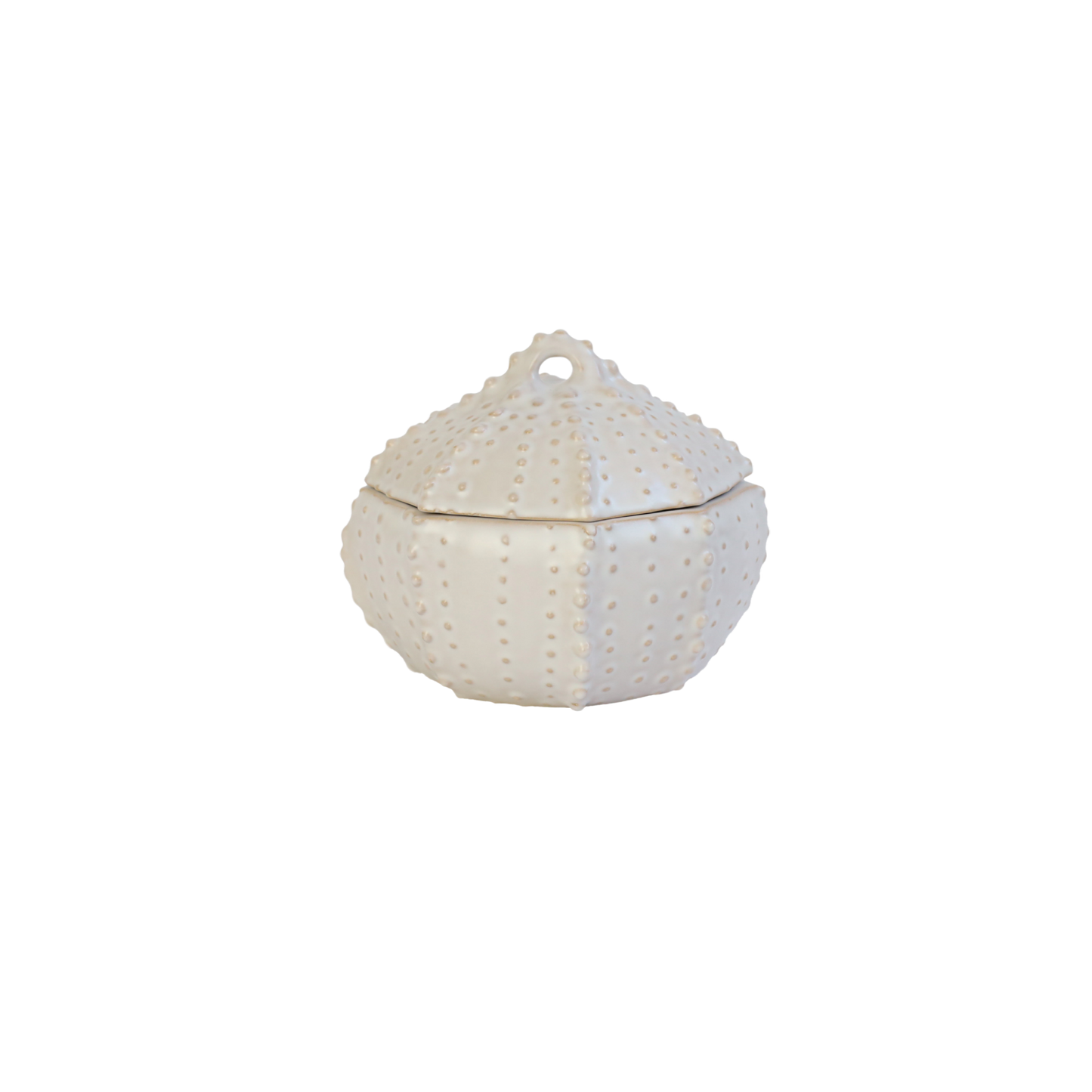 Bowl for Soup with lid NOSSE SEA Dotted Urchin Matte Ivory