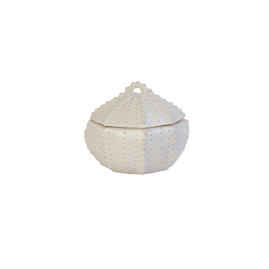Bowl for Soup with lid NOSSE SEA Dotted Urchin Matte Ivory