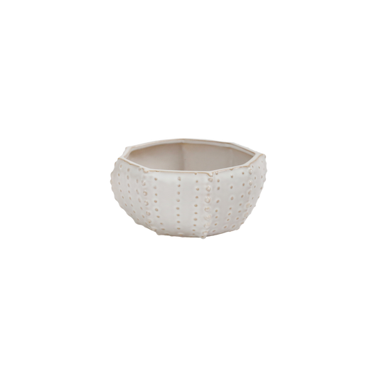 Bowl for Soup NOSSE SEA Dotted Urchin Matte Ivory